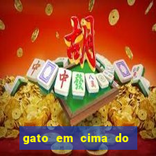 gato em cima do telhado significado espiritual