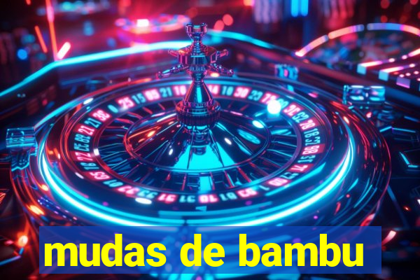 mudas de bambu