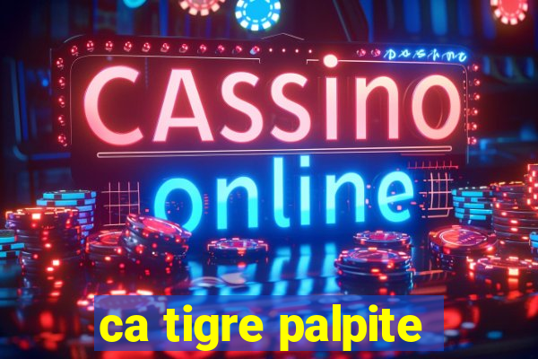 ca tigre palpite