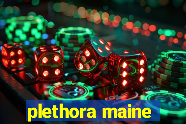 plethora maine