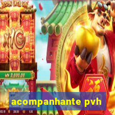 acompanhante pvh