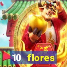 10 flores silvestres da regi o sudeste