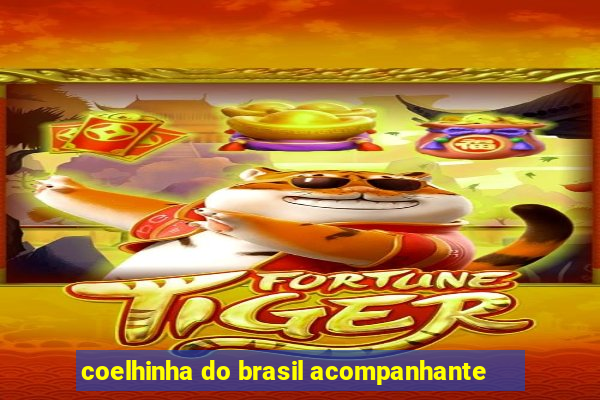 coelhinha do brasil acompanhante