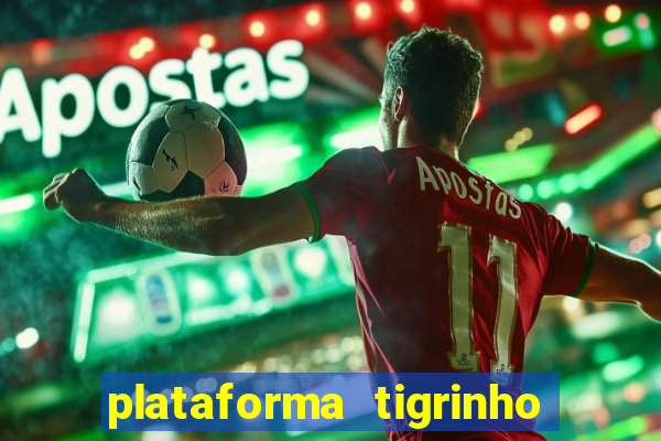 plataforma tigrinho 1 real