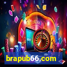 brapub66.com