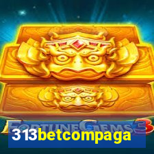 313betcompaga