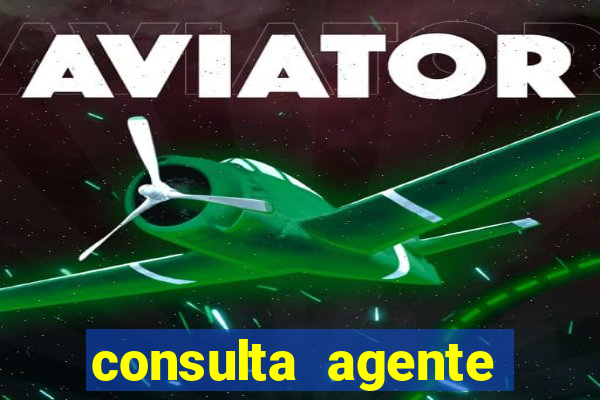 consulta agente autuador sp