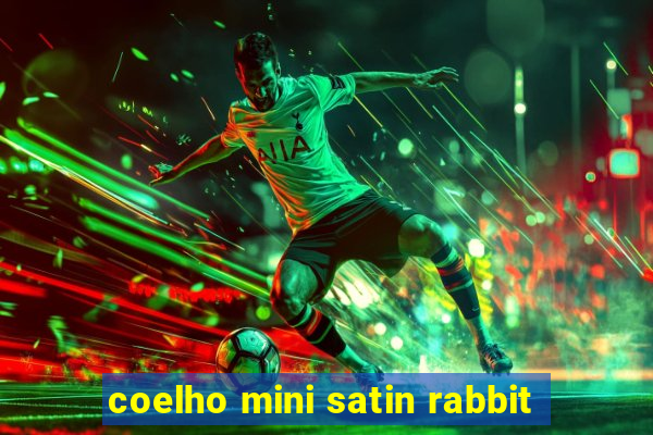 coelho mini satin rabbit