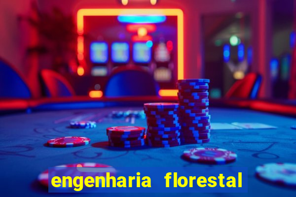 engenharia florestal ead cruzeiro do sul