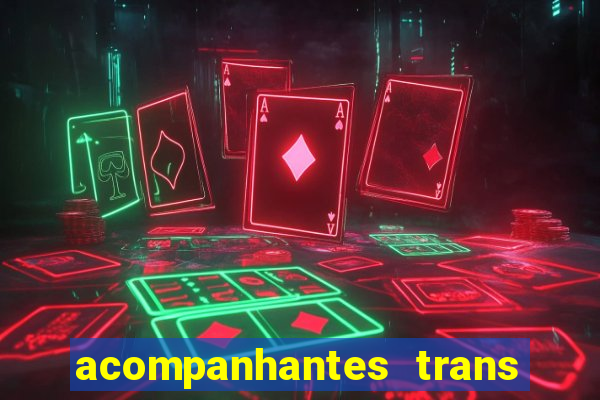 acompanhantes trans baixada fluminense