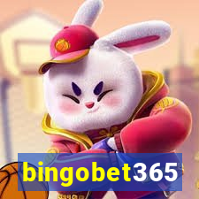 bingobet365