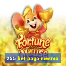 255 bet paga mesmo