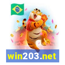 win203.net